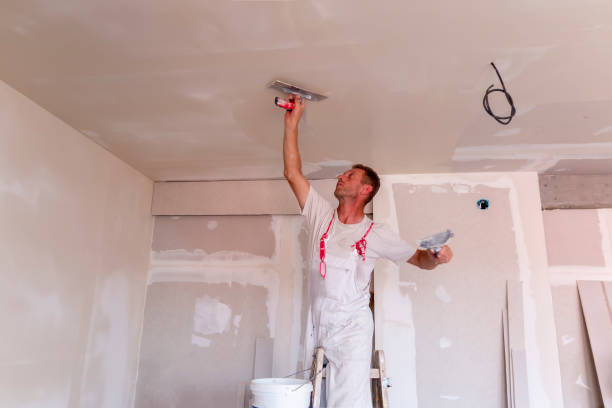 Professional Dry wall and painting in Preston, TX